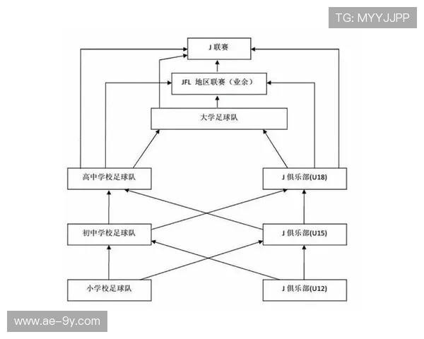 以足球标杆为目标全面解析如何科学系统地练好足球技巧